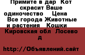 Примите в дар. Кот скрасит Ваше одиночество. › Цена ­ 0 - Все города Животные и растения » Кошки   . Кировская обл.,Лосево д.
